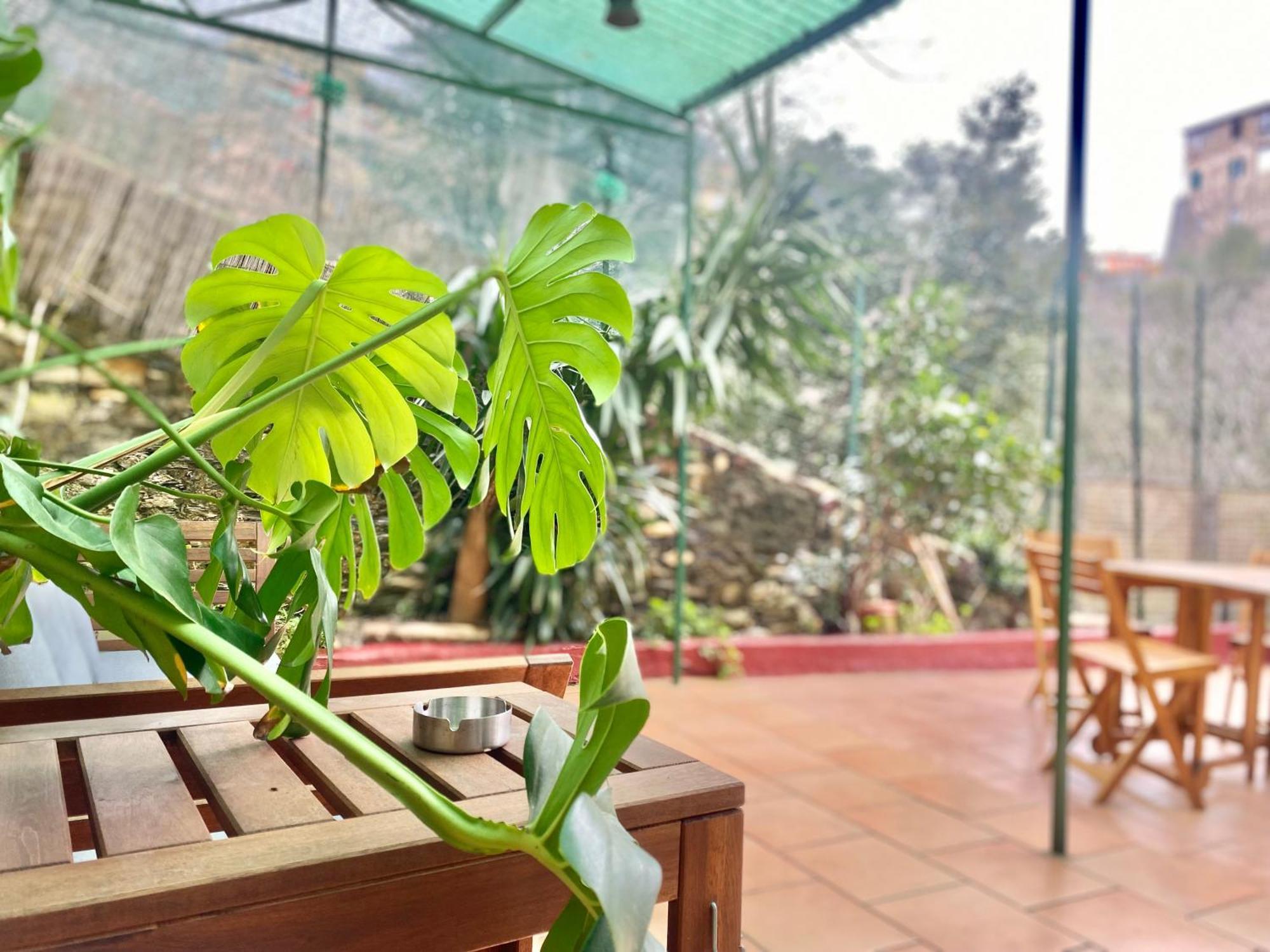 Casaviva - Bilo With Patio In Genova San Teodoro Apartment Екстериор снимка